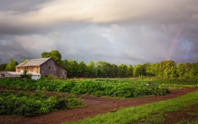 Protecting Local Farmland: Food Sovereignty, Food Systems, Gardening
