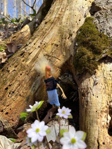The Best Fairy Gardens in All the Land